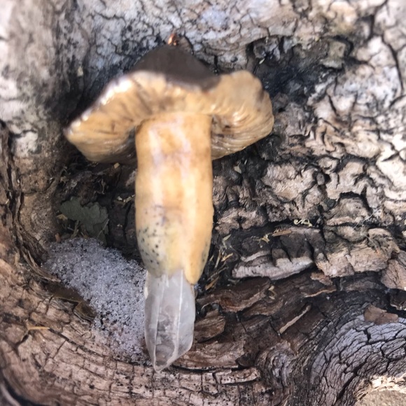 Hand Crafted Clay Mushroom Charm with Crystal - Picture 7 of 8